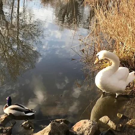 Sophie-haus, Sophie-haz بيت للعطل