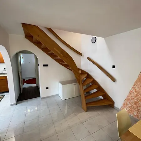 Sophie-haus, Sophie-haz