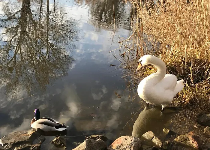 Sophie-haus, Sophie-haz Дом отдыха