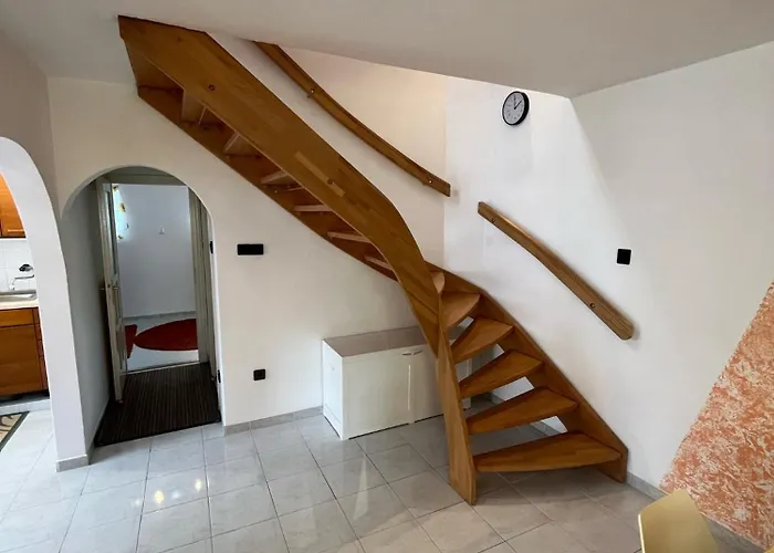 Sophie-haus, Sophie-haz